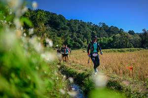 BIB: 
                            <button type="button" onclick="openModal(26574464)" class="btn btn-primary btn-sm float-right btn-popup" data-toggle="modal" data-target=".modal-high-quality">
                        <i class="fas fa-shopping-cart"></i> Add to Cart
                    </button>
                                            <button type="button" onclick="isThisMe(26574464, true)" class="btn btn-success btn-sm float-right btn-popup btn-isme hidden" data-toggle="tooltip" data-placement="bottom" title="นี่คือรูปของคุณใช่ไหม คลิกที่นี่เพื่อเอาเข้าอัลบั้ม">
                        <i class="fas fa-plus"></i> Add to album
                    </button>
                    <button type="button" onclick="isThisMe(26574464, false)" class="btn btn-warning btn-sm float-right btn-popup btn-isnotme hidden">
                        <i class="fas fa-ban"></i> Remove from album
                    </button>