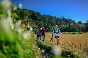 BIB: 
                            <button type="button" onclick="openModal(26572720)" class="btn btn-primary btn-sm float-right btn-popup" data-toggle="modal" data-target=".modal-high-quality">
                        <i class="fas fa-shopping-cart"></i> Add to Cart
                    </button>
                                            <button type="button" onclick="isThisMe(26572720, true)" class="btn btn-success btn-sm float-right btn-popup btn-isme hidden" data-toggle="tooltip" data-placement="bottom" title="นี่คือรูปของคุณใช่ไหม คลิกที่นี่เพื่อเอาเข้าอัลบั้ม">
                        <i class="fas fa-plus"></i> Add to album
                    </button>
                    <button type="button" onclick="isThisMe(26572720, false)" class="btn btn-warning btn-sm float-right btn-popup btn-isnotme hidden">
                        <i class="fas fa-ban"></i> Remove from album
                    </button>