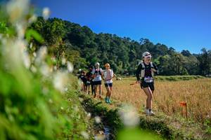 BIB: 
                            <button type="button" onclick="openModal(26572358)" class="btn btn-primary btn-sm float-right btn-popup" data-toggle="modal" data-target=".modal-high-quality">
                        <i class="fas fa-shopping-cart"></i> Add to Cart
                    </button>
                                            <button type="button" onclick="isThisMe(26572358, true)" class="btn btn-success btn-sm float-right btn-popup btn-isme hidden" data-toggle="tooltip" data-placement="bottom" title="นี่คือรูปของคุณใช่ไหม คลิกที่นี่เพื่อเอาเข้าอัลบั้ม">
                        <i class="fas fa-plus"></i> Add to album
                    </button>
                    <button type="button" onclick="isThisMe(26572358, false)" class="btn btn-warning btn-sm float-right btn-popup btn-isnotme hidden">
                        <i class="fas fa-ban"></i> Remove from album
                    </button>