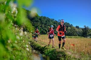 BIB: 
                            <button type="button" onclick="openModal(26581018)" class="btn btn-primary btn-sm float-right btn-popup" data-toggle="modal" data-target=".modal-high-quality">
                        <i class="fas fa-shopping-cart"></i> Add to Cart
                    </button>
                                            <button type="button" onclick="isThisMe(26581018, true)" class="btn btn-success btn-sm float-right btn-popup btn-isme hidden" data-toggle="tooltip" data-placement="bottom" title="นี่คือรูปของคุณใช่ไหม คลิกที่นี่เพื่อเอาเข้าอัลบั้ม">
                        <i class="fas fa-plus"></i> Add to album
                    </button>
                    <button type="button" onclick="isThisMe(26581018, false)" class="btn btn-warning btn-sm float-right btn-popup btn-isnotme hidden">
                        <i class="fas fa-ban"></i> Remove from album
                    </button>