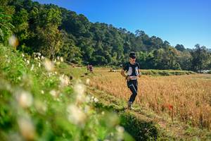 BIB: 
                            <button type="button" onclick="openModal(26570642)" class="btn btn-primary btn-sm float-right btn-popup" data-toggle="modal" data-target=".modal-high-quality">
                        <i class="fas fa-shopping-cart"></i> Add to Cart
                    </button>
                                            <button type="button" onclick="isThisMe(26570642, true)" class="btn btn-success btn-sm float-right btn-popup btn-isme hidden" data-toggle="tooltip" data-placement="bottom" title="นี่คือรูปของคุณใช่ไหม คลิกที่นี่เพื่อเอาเข้าอัลบั้ม">
                        <i class="fas fa-plus"></i> Add to album
                    </button>
                    <button type="button" onclick="isThisMe(26570642, false)" class="btn btn-warning btn-sm float-right btn-popup btn-isnotme hidden">
                        <i class="fas fa-ban"></i> Remove from album
                    </button>