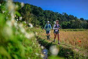 BIB: 
                            <button type="button" onclick="openModal(26575274)" class="btn btn-primary btn-sm float-right btn-popup" data-toggle="modal" data-target=".modal-high-quality">
                        <i class="fas fa-shopping-cart"></i> Add to Cart
                    </button>
                                            <button type="button" onclick="isThisMe(26575274, true)" class="btn btn-success btn-sm float-right btn-popup btn-isme hidden" data-toggle="tooltip" data-placement="bottom" title="นี่คือรูปของคุณใช่ไหม คลิกที่นี่เพื่อเอาเข้าอัลบั้ม">
                        <i class="fas fa-plus"></i> Add to album
                    </button>
                    <button type="button" onclick="isThisMe(26575274, false)" class="btn btn-warning btn-sm float-right btn-popup btn-isnotme hidden">
                        <i class="fas fa-ban"></i> Remove from album
                    </button>