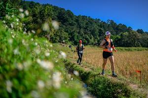 BIB: 
                            <button type="button" onclick="openModal(26583110)" class="btn btn-primary btn-sm float-right btn-popup" data-toggle="modal" data-target=".modal-high-quality">
                        <i class="fas fa-shopping-cart"></i> Add to Cart
                    </button>
                                            <button type="button" onclick="isThisMe(26583110, true)" class="btn btn-success btn-sm float-right btn-popup btn-isme hidden" data-toggle="tooltip" data-placement="bottom" title="นี่คือรูปของคุณใช่ไหม คลิกที่นี่เพื่อเอาเข้าอัลบั้ม">
                        <i class="fas fa-plus"></i> Add to album
                    </button>
                    <button type="button" onclick="isThisMe(26583110, false)" class="btn btn-warning btn-sm float-right btn-popup btn-isnotme hidden">
                        <i class="fas fa-ban"></i> Remove from album
                    </button>