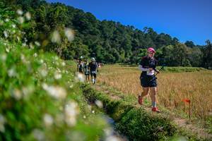 BIB: 
                            <button type="button" onclick="openModal(26582674)" class="btn btn-primary btn-sm float-right btn-popup" data-toggle="modal" data-target=".modal-high-quality">
                        <i class="fas fa-shopping-cart"></i> Add to Cart
                    </button>
                                            <button type="button" onclick="isThisMe(26582674, true)" class="btn btn-success btn-sm float-right btn-popup btn-isme hidden" data-toggle="tooltip" data-placement="bottom" title="นี่คือรูปของคุณใช่ไหม คลิกที่นี่เพื่อเอาเข้าอัลบั้ม">
                        <i class="fas fa-plus"></i> Add to album
                    </button>
                    <button type="button" onclick="isThisMe(26582674, false)" class="btn btn-warning btn-sm float-right btn-popup btn-isnotme hidden">
                        <i class="fas fa-ban"></i> Remove from album
                    </button>