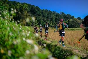 BIB: 
                            <button type="button" onclick="openModal(26582067)" class="btn btn-primary btn-sm float-right btn-popup" data-toggle="modal" data-target=".modal-high-quality">
                        <i class="fas fa-shopping-cart"></i> Add to Cart
                    </button>
                                            <button type="button" onclick="isThisMe(26582067, true)" class="btn btn-success btn-sm float-right btn-popup btn-isme hidden" data-toggle="tooltip" data-placement="bottom" title="นี่คือรูปของคุณใช่ไหม คลิกที่นี่เพื่อเอาเข้าอัลบั้ม">
                        <i class="fas fa-plus"></i> Add to album
                    </button>
                    <button type="button" onclick="isThisMe(26582067, false)" class="btn btn-warning btn-sm float-right btn-popup btn-isnotme hidden">
                        <i class="fas fa-ban"></i> Remove from album
                    </button>