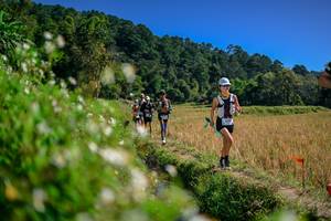 BIB: 
                            <button type="button" onclick="openModal(26582081)" class="btn btn-primary btn-sm float-right btn-popup" data-toggle="modal" data-target=".modal-high-quality">
                        <i class="fas fa-shopping-cart"></i> Add to Cart
                    </button>
                                            <button type="button" onclick="isThisMe(26582081, true)" class="btn btn-success btn-sm float-right btn-popup btn-isme hidden" data-toggle="tooltip" data-placement="bottom" title="นี่คือรูปของคุณใช่ไหม คลิกที่นี่เพื่อเอาเข้าอัลบั้ม">
                        <i class="fas fa-plus"></i> Add to album
                    </button>
                    <button type="button" onclick="isThisMe(26582081, false)" class="btn btn-warning btn-sm float-right btn-popup btn-isnotme hidden">
                        <i class="fas fa-ban"></i> Remove from album
                    </button>