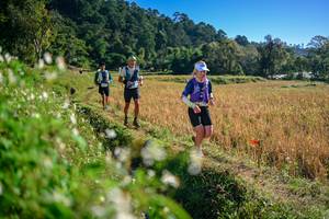 BIB: 
                            <button type="button" onclick="openModal(26571419)" class="btn btn-primary btn-sm float-right btn-popup" data-toggle="modal" data-target=".modal-high-quality">
                        <i class="fas fa-shopping-cart"></i> Add to Cart
                    </button>
                                            <button type="button" onclick="isThisMe(26571419, true)" class="btn btn-success btn-sm float-right btn-popup btn-isme hidden" data-toggle="tooltip" data-placement="bottom" title="นี่คือรูปของคุณใช่ไหม คลิกที่นี่เพื่อเอาเข้าอัลบั้ม">
                        <i class="fas fa-plus"></i> Add to album
                    </button>
                    <button type="button" onclick="isThisMe(26571419, false)" class="btn btn-warning btn-sm float-right btn-popup btn-isnotme hidden">
                        <i class="fas fa-ban"></i> Remove from album
                    </button>