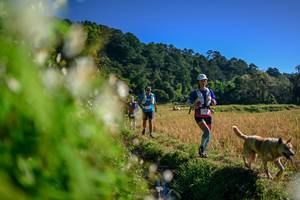 BIB: 
                            <button type="button" onclick="openModal(26572123)" class="btn btn-primary btn-sm float-right btn-popup" data-toggle="modal" data-target=".modal-high-quality">
                        <i class="fas fa-shopping-cart"></i> Add to Cart
                    </button>
                                            <button type="button" onclick="isThisMe(26572123, true)" class="btn btn-success btn-sm float-right btn-popup btn-isme hidden" data-toggle="tooltip" data-placement="bottom" title="นี่คือรูปของคุณใช่ไหม คลิกที่นี่เพื่อเอาเข้าอัลบั้ม">
                        <i class="fas fa-plus"></i> Add to album
                    </button>
                    <button type="button" onclick="isThisMe(26572123, false)" class="btn btn-warning btn-sm float-right btn-popup btn-isnotme hidden">
                        <i class="fas fa-ban"></i> Remove from album
                    </button>