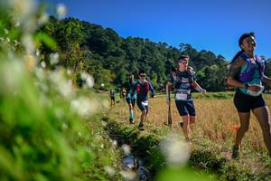 BIB: 
                            <button type="button" onclick="openModal(26574500)" class="btn btn-primary btn-sm float-right btn-popup" data-toggle="modal" data-target=".modal-high-quality">
                        <i class="fas fa-shopping-cart"></i> Add to Cart
                    </button>
                                            <button type="button" onclick="isThisMe(26574500, true)" class="btn btn-success btn-sm float-right btn-popup btn-isme hidden" data-toggle="tooltip" data-placement="bottom" title="นี่คือรูปของคุณใช่ไหม คลิกที่นี่เพื่อเอาเข้าอัลบั้ม">
                        <i class="fas fa-plus"></i> Add to album
                    </button>
                    <button type="button" onclick="isThisMe(26574500, false)" class="btn btn-warning btn-sm float-right btn-popup btn-isnotme hidden">
                        <i class="fas fa-ban"></i> Remove from album
                    </button>