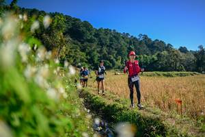 BIB: 
                            <button type="button" onclick="openModal(26571738)" class="btn btn-primary btn-sm float-right btn-popup" data-toggle="modal" data-target=".modal-high-quality">
                        <i class="fas fa-shopping-cart"></i> Add to Cart
                    </button>
                                            <button type="button" onclick="isThisMe(26571738, true)" class="btn btn-success btn-sm float-right btn-popup btn-isme hidden" data-toggle="tooltip" data-placement="bottom" title="นี่คือรูปของคุณใช่ไหม คลิกที่นี่เพื่อเอาเข้าอัลบั้ม">
                        <i class="fas fa-plus"></i> Add to album
                    </button>
                    <button type="button" onclick="isThisMe(26571738, false)" class="btn btn-warning btn-sm float-right btn-popup btn-isnotme hidden">
                        <i class="fas fa-ban"></i> Remove from album
                    </button>