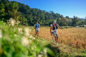 BIB: 
                            <button type="button" onclick="openModal(26570488)" class="btn btn-primary btn-sm float-right btn-popup" data-toggle="modal" data-target=".modal-high-quality">
                        <i class="fas fa-shopping-cart"></i> Add to Cart
                    </button>
                                            <button type="button" onclick="isThisMe(26570488, true)" class="btn btn-success btn-sm float-right btn-popup btn-isme hidden" data-toggle="tooltip" data-placement="bottom" title="นี่คือรูปของคุณใช่ไหม คลิกที่นี่เพื่อเอาเข้าอัลบั้ม">
                        <i class="fas fa-plus"></i> Add to album
                    </button>
                    <button type="button" onclick="isThisMe(26570488, false)" class="btn btn-warning btn-sm float-right btn-popup btn-isnotme hidden">
                        <i class="fas fa-ban"></i> Remove from album
                    </button>