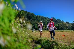 BIB: 
                            <button type="button" onclick="openModal(26580455)" class="btn btn-primary btn-sm float-right btn-popup" data-toggle="modal" data-target=".modal-high-quality">
                        <i class="fas fa-shopping-cart"></i> Add to Cart
                    </button>
                                            <button type="button" onclick="isThisMe(26580455, true)" class="btn btn-success btn-sm float-right btn-popup btn-isme hidden" data-toggle="tooltip" data-placement="bottom" title="นี่คือรูปของคุณใช่ไหม คลิกที่นี่เพื่อเอาเข้าอัลบั้ม">
                        <i class="fas fa-plus"></i> Add to album
                    </button>
                    <button type="button" onclick="isThisMe(26580455, false)" class="btn btn-warning btn-sm float-right btn-popup btn-isnotme hidden">
                        <i class="fas fa-ban"></i> Remove from album
                    </button>