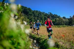 BIB: 
                            <button type="button" onclick="openModal(26574372)" class="btn btn-primary btn-sm float-right btn-popup" data-toggle="modal" data-target=".modal-high-quality">
                        <i class="fas fa-shopping-cart"></i> Add to Cart
                    </button>
                                            <button type="button" onclick="isThisMe(26574372, true)" class="btn btn-success btn-sm float-right btn-popup btn-isme hidden" data-toggle="tooltip" data-placement="bottom" title="นี่คือรูปของคุณใช่ไหม คลิกที่นี่เพื่อเอาเข้าอัลบั้ม">
                        <i class="fas fa-plus"></i> Add to album
                    </button>
                    <button type="button" onclick="isThisMe(26574372, false)" class="btn btn-warning btn-sm float-right btn-popup btn-isnotme hidden">
                        <i class="fas fa-ban"></i> Remove from album
                    </button>