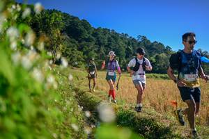 BIB: 
                            <button type="button" onclick="openModal(26571765)" class="btn btn-primary btn-sm float-right btn-popup" data-toggle="modal" data-target=".modal-high-quality">
                        <i class="fas fa-shopping-cart"></i> Add to Cart
                    </button>
                                            <button type="button" onclick="isThisMe(26571765, true)" class="btn btn-success btn-sm float-right btn-popup btn-isme hidden" data-toggle="tooltip" data-placement="bottom" title="นี่คือรูปของคุณใช่ไหม คลิกที่นี่เพื่อเอาเข้าอัลบั้ม">
                        <i class="fas fa-plus"></i> Add to album
                    </button>
                    <button type="button" onclick="isThisMe(26571765, false)" class="btn btn-warning btn-sm float-right btn-popup btn-isnotme hidden">
                        <i class="fas fa-ban"></i> Remove from album
                    </button>