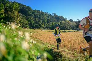 BIB: 
                            <button type="button" onclick="openModal(26570600)" class="btn btn-primary btn-sm float-right btn-popup" data-toggle="modal" data-target=".modal-high-quality">
                        <i class="fas fa-shopping-cart"></i> Add to Cart
                    </button>
                                            <button type="button" onclick="isThisMe(26570600, true)" class="btn btn-success btn-sm float-right btn-popup btn-isme hidden" data-toggle="tooltip" data-placement="bottom" title="นี่คือรูปของคุณใช่ไหม คลิกที่นี่เพื่อเอาเข้าอัลบั้ม">
                        <i class="fas fa-plus"></i> Add to album
                    </button>
                    <button type="button" onclick="isThisMe(26570600, false)" class="btn btn-warning btn-sm float-right btn-popup btn-isnotme hidden">
                        <i class="fas fa-ban"></i> Remove from album
                    </button>