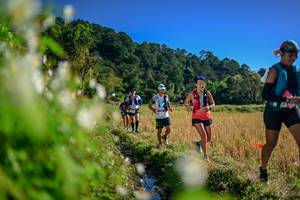 BIB: 
                            <button type="button" onclick="openModal(26572969)" class="btn btn-primary btn-sm float-right btn-popup" data-toggle="modal" data-target=".modal-high-quality">
                        <i class="fas fa-shopping-cart"></i> Add to Cart
                    </button>
                                            <button type="button" onclick="isThisMe(26572969, true)" class="btn btn-success btn-sm float-right btn-popup btn-isme hidden" data-toggle="tooltip" data-placement="bottom" title="นี่คือรูปของคุณใช่ไหม คลิกที่นี่เพื่อเอาเข้าอัลบั้ม">
                        <i class="fas fa-plus"></i> Add to album
                    </button>
                    <button type="button" onclick="isThisMe(26572969, false)" class="btn btn-warning btn-sm float-right btn-popup btn-isnotme hidden">
                        <i class="fas fa-ban"></i> Remove from album
                    </button>