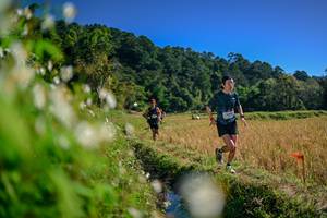 BIB: 
                            <button type="button" onclick="openModal(26573803)" class="btn btn-primary btn-sm float-right btn-popup" data-toggle="modal" data-target=".modal-high-quality">
                        <i class="fas fa-shopping-cart"></i> Add to Cart
                    </button>
                                            <button type="button" onclick="isThisMe(26573803, true)" class="btn btn-success btn-sm float-right btn-popup btn-isme hidden" data-toggle="tooltip" data-placement="bottom" title="นี่คือรูปของคุณใช่ไหม คลิกที่นี่เพื่อเอาเข้าอัลบั้ม">
                        <i class="fas fa-plus"></i> Add to album
                    </button>
                    <button type="button" onclick="isThisMe(26573803, false)" class="btn btn-warning btn-sm float-right btn-popup btn-isnotme hidden">
                        <i class="fas fa-ban"></i> Remove from album
                    </button>