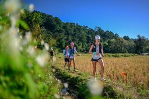 BIB: 
                            <button type="button" onclick="openModal(26572584)" class="btn btn-primary btn-sm float-right btn-popup" data-toggle="modal" data-target=".modal-high-quality">
                        <i class="fas fa-shopping-cart"></i> Add to Cart
                    </button>
                                            <button type="button" onclick="isThisMe(26572584, true)" class="btn btn-success btn-sm float-right btn-popup btn-isme hidden" data-toggle="tooltip" data-placement="bottom" title="นี่คือรูปของคุณใช่ไหม คลิกที่นี่เพื่อเอาเข้าอัลบั้ม">
                        <i class="fas fa-plus"></i> Add to album
                    </button>
                    <button type="button" onclick="isThisMe(26572584, false)" class="btn btn-warning btn-sm float-right btn-popup btn-isnotme hidden">
                        <i class="fas fa-ban"></i> Remove from album
                    </button>