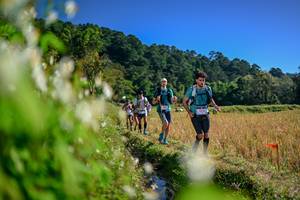 BIB: 
                            <button type="button" onclick="openModal(26573259)" class="btn btn-primary btn-sm float-right btn-popup" data-toggle="modal" data-target=".modal-high-quality">
                        <i class="fas fa-shopping-cart"></i> Add to Cart
                    </button>
                                            <button type="button" onclick="isThisMe(26573259, true)" class="btn btn-success btn-sm float-right btn-popup btn-isme hidden" data-toggle="tooltip" data-placement="bottom" title="นี่คือรูปของคุณใช่ไหม คลิกที่นี่เพื่อเอาเข้าอัลบั้ม">
                        <i class="fas fa-plus"></i> Add to album
                    </button>
                    <button type="button" onclick="isThisMe(26573259, false)" class="btn btn-warning btn-sm float-right btn-popup btn-isnotme hidden">
                        <i class="fas fa-ban"></i> Remove from album
                    </button>