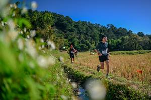 BIB: 
                            <button type="button" onclick="openModal(26573802)" class="btn btn-primary btn-sm float-right btn-popup" data-toggle="modal" data-target=".modal-high-quality">
                        <i class="fas fa-shopping-cart"></i> Add to Cart
                    </button>
                                            <button type="button" onclick="isThisMe(26573802, true)" class="btn btn-success btn-sm float-right btn-popup btn-isme hidden" data-toggle="tooltip" data-placement="bottom" title="นี่คือรูปของคุณใช่ไหม คลิกที่นี่เพื่อเอาเข้าอัลบั้ม">
                        <i class="fas fa-plus"></i> Add to album
                    </button>
                    <button type="button" onclick="isThisMe(26573802, false)" class="btn btn-warning btn-sm float-right btn-popup btn-isnotme hidden">
                        <i class="fas fa-ban"></i> Remove from album
                    </button>