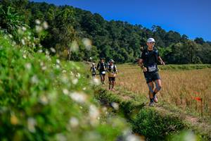 BIB: 
                            <button type="button" onclick="openModal(26582381)" class="btn btn-primary btn-sm float-right btn-popup" data-toggle="modal" data-target=".modal-high-quality">
                        <i class="fas fa-shopping-cart"></i> Add to Cart
                    </button>
                                            <button type="button" onclick="isThisMe(26582381, true)" class="btn btn-success btn-sm float-right btn-popup btn-isme hidden" data-toggle="tooltip" data-placement="bottom" title="นี่คือรูปของคุณใช่ไหม คลิกที่นี่เพื่อเอาเข้าอัลบั้ม">
                        <i class="fas fa-plus"></i> Add to album
                    </button>
                    <button type="button" onclick="isThisMe(26582381, false)" class="btn btn-warning btn-sm float-right btn-popup btn-isnotme hidden">
                        <i class="fas fa-ban"></i> Remove from album
                    </button>