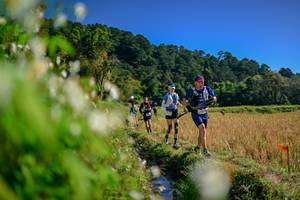 BIB: 
                            <button type="button" onclick="openModal(26573815)" class="btn btn-primary btn-sm float-right btn-popup" data-toggle="modal" data-target=".modal-high-quality">
                        <i class="fas fa-shopping-cart"></i> Add to Cart
                    </button>
                                            <button type="button" onclick="isThisMe(26573815, true)" class="btn btn-success btn-sm float-right btn-popup btn-isme hidden" data-toggle="tooltip" data-placement="bottom" title="นี่คือรูปของคุณใช่ไหม คลิกที่นี่เพื่อเอาเข้าอัลบั้ม">
                        <i class="fas fa-plus"></i> Add to album
                    </button>
                    <button type="button" onclick="isThisMe(26573815, false)" class="btn btn-warning btn-sm float-right btn-popup btn-isnotme hidden">
                        <i class="fas fa-ban"></i> Remove from album
                    </button>