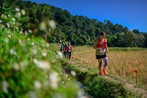 BIB: 
                            <button type="button" onclick="openModal(26583179)" class="btn btn-primary btn-sm float-right btn-popup" data-toggle="modal" data-target=".modal-high-quality">
                        <i class="fas fa-shopping-cart"></i> Add to Cart
                    </button>
                                            <button type="button" onclick="isThisMe(26583179, true)" class="btn btn-success btn-sm float-right btn-popup btn-isme hidden" data-toggle="tooltip" data-placement="bottom" title="นี่คือรูปของคุณใช่ไหม คลิกที่นี่เพื่อเอาเข้าอัลบั้ม">
                        <i class="fas fa-plus"></i> Add to album
                    </button>
                    <button type="button" onclick="isThisMe(26583179, false)" class="btn btn-warning btn-sm float-right btn-popup btn-isnotme hidden">
                        <i class="fas fa-ban"></i> Remove from album
                    </button>