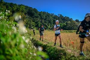 BIB: 
                            <button type="button" onclick="openModal(26575921)" class="btn btn-primary btn-sm float-right btn-popup" data-toggle="modal" data-target=".modal-high-quality">
                        <i class="fas fa-shopping-cart"></i> Add to Cart
                    </button>
                                            <button type="button" onclick="isThisMe(26575921, true)" class="btn btn-success btn-sm float-right btn-popup btn-isme hidden" data-toggle="tooltip" data-placement="bottom" title="นี่คือรูปของคุณใช่ไหม คลิกที่นี่เพื่อเอาเข้าอัลบั้ม">
                        <i class="fas fa-plus"></i> Add to album
                    </button>
                    <button type="button" onclick="isThisMe(26575921, false)" class="btn btn-warning btn-sm float-right btn-popup btn-isnotme hidden">
                        <i class="fas fa-ban"></i> Remove from album
                    </button>