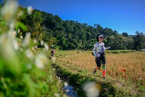 BIB: 
                            <button type="button" onclick="openModal(26572470)" class="btn btn-primary btn-sm float-right btn-popup" data-toggle="modal" data-target=".modal-high-quality">
                        <i class="fas fa-shopping-cart"></i> Add to Cart
                    </button>
                                            <button type="button" onclick="isThisMe(26572470, true)" class="btn btn-success btn-sm float-right btn-popup btn-isme hidden" data-toggle="tooltip" data-placement="bottom" title="นี่คือรูปของคุณใช่ไหม คลิกที่นี่เพื่อเอาเข้าอัลบั้ม">
                        <i class="fas fa-plus"></i> Add to album
                    </button>
                    <button type="button" onclick="isThisMe(26572470, false)" class="btn btn-warning btn-sm float-right btn-popup btn-isnotme hidden">
                        <i class="fas fa-ban"></i> Remove from album
                    </button>