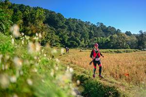 BIB: 
                            <button type="button" onclick="openModal(26570984)" class="btn btn-primary btn-sm float-right btn-popup" data-toggle="modal" data-target=".modal-high-quality">
                        <i class="fas fa-shopping-cart"></i> Add to Cart
                    </button>
                                            <button type="button" onclick="isThisMe(26570984, true)" class="btn btn-success btn-sm float-right btn-popup btn-isme hidden" data-toggle="tooltip" data-placement="bottom" title="นี่คือรูปของคุณใช่ไหม คลิกที่นี่เพื่อเอาเข้าอัลบั้ม">
                        <i class="fas fa-plus"></i> Add to album
                    </button>
                    <button type="button" onclick="isThisMe(26570984, false)" class="btn btn-warning btn-sm float-right btn-popup btn-isnotme hidden">
                        <i class="fas fa-ban"></i> Remove from album
                    </button>