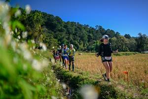 BIB: 
                            <button type="button" onclick="openModal(26574078)" class="btn btn-primary btn-sm float-right btn-popup" data-toggle="modal" data-target=".modal-high-quality">
                        <i class="fas fa-shopping-cart"></i> Add to Cart
                    </button>
                                            <button type="button" onclick="isThisMe(26574078, true)" class="btn btn-success btn-sm float-right btn-popup btn-isme hidden" data-toggle="tooltip" data-placement="bottom" title="นี่คือรูปของคุณใช่ไหม คลิกที่นี่เพื่อเอาเข้าอัลบั้ม">
                        <i class="fas fa-plus"></i> Add to album
                    </button>
                    <button type="button" onclick="isThisMe(26574078, false)" class="btn btn-warning btn-sm float-right btn-popup btn-isnotme hidden">
                        <i class="fas fa-ban"></i> Remove from album
                    </button>