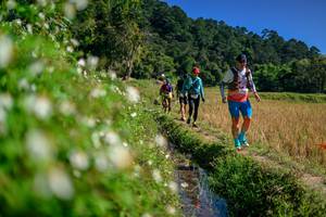 BIB: 
                            <button type="button" onclick="openModal(26583210)" class="btn btn-primary btn-sm float-right btn-popup" data-toggle="modal" data-target=".modal-high-quality">
                        <i class="fas fa-shopping-cart"></i> Add to Cart
                    </button>
                                            <button type="button" onclick="isThisMe(26583210, true)" class="btn btn-success btn-sm float-right btn-popup btn-isme hidden" data-toggle="tooltip" data-placement="bottom" title="นี่คือรูปของคุณใช่ไหม คลิกที่นี่เพื่อเอาเข้าอัลบั้ม">
                        <i class="fas fa-plus"></i> Add to album
                    </button>
                    <button type="button" onclick="isThisMe(26583210, false)" class="btn btn-warning btn-sm float-right btn-popup btn-isnotme hidden">
                        <i class="fas fa-ban"></i> Remove from album
                    </button>