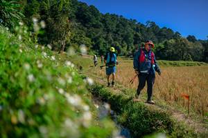 BIB: 
                            <button type="button" onclick="openModal(26581771)" class="btn btn-primary btn-sm float-right btn-popup" data-toggle="modal" data-target=".modal-high-quality">
                        <i class="fas fa-shopping-cart"></i> Add to Cart
                    </button>
                                            <button type="button" onclick="isThisMe(26581771, true)" class="btn btn-success btn-sm float-right btn-popup btn-isme hidden" data-toggle="tooltip" data-placement="bottom" title="นี่คือรูปของคุณใช่ไหม คลิกที่นี่เพื่อเอาเข้าอัลบั้ม">
                        <i class="fas fa-plus"></i> Add to album
                    </button>
                    <button type="button" onclick="isThisMe(26581771, false)" class="btn btn-warning btn-sm float-right btn-popup btn-isnotme hidden">
                        <i class="fas fa-ban"></i> Remove from album
                    </button>