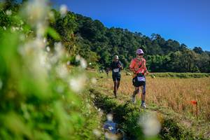 BIB: 
                            <button type="button" onclick="openModal(26572847)" class="btn btn-primary btn-sm float-right btn-popup" data-toggle="modal" data-target=".modal-high-quality">
                        <i class="fas fa-shopping-cart"></i> Add to Cart
                    </button>
                                            <button type="button" onclick="isThisMe(26572847, true)" class="btn btn-success btn-sm float-right btn-popup btn-isme hidden" data-toggle="tooltip" data-placement="bottom" title="นี่คือรูปของคุณใช่ไหม คลิกที่นี่เพื่อเอาเข้าอัลบั้ม">
                        <i class="fas fa-plus"></i> Add to album
                    </button>
                    <button type="button" onclick="isThisMe(26572847, false)" class="btn btn-warning btn-sm float-right btn-popup btn-isnotme hidden">
                        <i class="fas fa-ban"></i> Remove from album
                    </button>