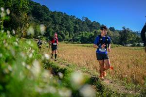 BIB: 
                            <button type="button" onclick="openModal(26576121)" class="btn btn-primary btn-sm float-right btn-popup" data-toggle="modal" data-target=".modal-high-quality">
                        <i class="fas fa-shopping-cart"></i> Add to Cart
                    </button>
                                            <button type="button" onclick="isThisMe(26576121, true)" class="btn btn-success btn-sm float-right btn-popup btn-isme hidden" data-toggle="tooltip" data-placement="bottom" title="นี่คือรูปของคุณใช่ไหม คลิกที่นี่เพื่อเอาเข้าอัลบั้ม">
                        <i class="fas fa-plus"></i> Add to album
                    </button>
                    <button type="button" onclick="isThisMe(26576121, false)" class="btn btn-warning btn-sm float-right btn-popup btn-isnotme hidden">
                        <i class="fas fa-ban"></i> Remove from album
                    </button>