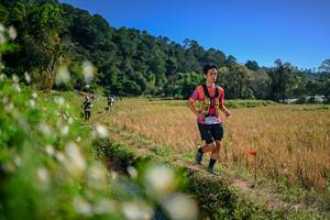 BIB: 
                            <button type="button" onclick="openModal(26576161)" class="btn btn-primary btn-sm float-right btn-popup" data-toggle="modal" data-target=".modal-high-quality">
                        <i class="fas fa-shopping-cart"></i> Add to Cart
                    </button>
                                            <button type="button" onclick="isThisMe(26576161, true)" class="btn btn-success btn-sm float-right btn-popup btn-isme hidden" data-toggle="tooltip" data-placement="bottom" title="นี่คือรูปของคุณใช่ไหม คลิกที่นี่เพื่อเอาเข้าอัลบั้ม">
                        <i class="fas fa-plus"></i> Add to album
                    </button>
                    <button type="button" onclick="isThisMe(26576161, false)" class="btn btn-warning btn-sm float-right btn-popup btn-isnotme hidden">
                        <i class="fas fa-ban"></i> Remove from album
                    </button>