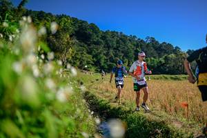 BIB: 
                            <button type="button" onclick="openModal(26573147)" class="btn btn-primary btn-sm float-right btn-popup" data-toggle="modal" data-target=".modal-high-quality">
                        <i class="fas fa-shopping-cart"></i> Add to Cart
                    </button>
                                            <button type="button" onclick="isThisMe(26573147, true)" class="btn btn-success btn-sm float-right btn-popup btn-isme hidden" data-toggle="tooltip" data-placement="bottom" title="นี่คือรูปของคุณใช่ไหม คลิกที่นี่เพื่อเอาเข้าอัลบั้ม">
                        <i class="fas fa-plus"></i> Add to album
                    </button>
                    <button type="button" onclick="isThisMe(26573147, false)" class="btn btn-warning btn-sm float-right btn-popup btn-isnotme hidden">
                        <i class="fas fa-ban"></i> Remove from album
                    </button>