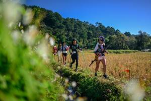 BIB: 
                            <button type="button" onclick="openModal(26572177)" class="btn btn-primary btn-sm float-right btn-popup" data-toggle="modal" data-target=".modal-high-quality">
                        <i class="fas fa-shopping-cart"></i> Add to Cart
                    </button>
                                            <button type="button" onclick="isThisMe(26572177, true)" class="btn btn-success btn-sm float-right btn-popup btn-isme hidden" data-toggle="tooltip" data-placement="bottom" title="นี่คือรูปของคุณใช่ไหม คลิกที่นี่เพื่อเอาเข้าอัลบั้ม">
                        <i class="fas fa-plus"></i> Add to album
                    </button>
                    <button type="button" onclick="isThisMe(26572177, false)" class="btn btn-warning btn-sm float-right btn-popup btn-isnotme hidden">
                        <i class="fas fa-ban"></i> Remove from album
                    </button>