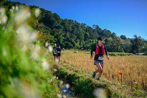 BIB: 
                            <button type="button" onclick="openModal(26571595)" class="btn btn-primary btn-sm float-right btn-popup" data-toggle="modal" data-target=".modal-high-quality">
                        <i class="fas fa-shopping-cart"></i> Add to Cart
                    </button>
                                            <button type="button" onclick="isThisMe(26571595, true)" class="btn btn-success btn-sm float-right btn-popup btn-isme hidden" data-toggle="tooltip" data-placement="bottom" title="นี่คือรูปของคุณใช่ไหม คลิกที่นี่เพื่อเอาเข้าอัลบั้ม">
                        <i class="fas fa-plus"></i> Add to album
                    </button>
                    <button type="button" onclick="isThisMe(26571595, false)" class="btn btn-warning btn-sm float-right btn-popup btn-isnotme hidden">
                        <i class="fas fa-ban"></i> Remove from album
                    </button>