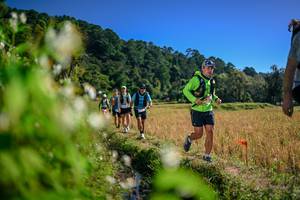 BIB: 
                            <button type="button" onclick="openModal(26575593)" class="btn btn-primary btn-sm float-right btn-popup" data-toggle="modal" data-target=".modal-high-quality">
                        <i class="fas fa-shopping-cart"></i> Add to Cart
                    </button>
                                            <button type="button" onclick="isThisMe(26575593, true)" class="btn btn-success btn-sm float-right btn-popup btn-isme hidden" data-toggle="tooltip" data-placement="bottom" title="นี่คือรูปของคุณใช่ไหม คลิกที่นี่เพื่อเอาเข้าอัลบั้ม">
                        <i class="fas fa-plus"></i> Add to album
                    </button>
                    <button type="button" onclick="isThisMe(26575593, false)" class="btn btn-warning btn-sm float-right btn-popup btn-isnotme hidden">
                        <i class="fas fa-ban"></i> Remove from album
                    </button>