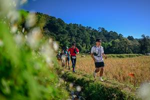 BIB: 
                            <button type="button" onclick="openModal(26572091)" class="btn btn-primary btn-sm float-right btn-popup" data-toggle="modal" data-target=".modal-high-quality">
                        <i class="fas fa-shopping-cart"></i> Add to Cart
                    </button>
                                            <button type="button" onclick="isThisMe(26572091, true)" class="btn btn-success btn-sm float-right btn-popup btn-isme hidden" data-toggle="tooltip" data-placement="bottom" title="นี่คือรูปของคุณใช่ไหม คลิกที่นี่เพื่อเอาเข้าอัลบั้ม">
                        <i class="fas fa-plus"></i> Add to album
                    </button>
                    <button type="button" onclick="isThisMe(26572091, false)" class="btn btn-warning btn-sm float-right btn-popup btn-isnotme hidden">
                        <i class="fas fa-ban"></i> Remove from album
                    </button>