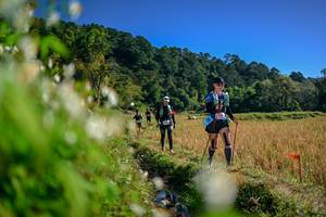 BIB: 
                            <button type="button" onclick="openModal(26573778)" class="btn btn-primary btn-sm float-right btn-popup" data-toggle="modal" data-target=".modal-high-quality">
                        <i class="fas fa-shopping-cart"></i> Add to Cart
                    </button>
                                            <button type="button" onclick="isThisMe(26573778, true)" class="btn btn-success btn-sm float-right btn-popup btn-isme hidden" data-toggle="tooltip" data-placement="bottom" title="นี่คือรูปของคุณใช่ไหม คลิกที่นี่เพื่อเอาเข้าอัลบั้ม">
                        <i class="fas fa-plus"></i> Add to album
                    </button>
                    <button type="button" onclick="isThisMe(26573778, false)" class="btn btn-warning btn-sm float-right btn-popup btn-isnotme hidden">
                        <i class="fas fa-ban"></i> Remove from album
                    </button>