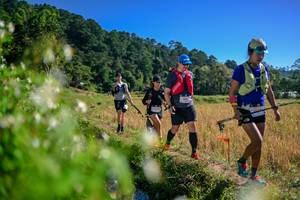 BIB: 
                            <button type="button" onclick="openModal(26579633)" class="btn btn-primary btn-sm float-right btn-popup" data-toggle="modal" data-target=".modal-high-quality">
                        <i class="fas fa-shopping-cart"></i> Add to Cart
                    </button>
                                            <button type="button" onclick="isThisMe(26579633, true)" class="btn btn-success btn-sm float-right btn-popup btn-isme hidden" data-toggle="tooltip" data-placement="bottom" title="นี่คือรูปของคุณใช่ไหม คลิกที่นี่เพื่อเอาเข้าอัลบั้ม">
                        <i class="fas fa-plus"></i> Add to album
                    </button>
                    <button type="button" onclick="isThisMe(26579633, false)" class="btn btn-warning btn-sm float-right btn-popup btn-isnotme hidden">
                        <i class="fas fa-ban"></i> Remove from album
                    </button>