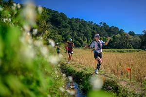 BIB: 
                            <button type="button" onclick="openModal(26575357)" class="btn btn-primary btn-sm float-right btn-popup" data-toggle="modal" data-target=".modal-high-quality">
                        <i class="fas fa-shopping-cart"></i> Add to Cart
                    </button>
                                            <button type="button" onclick="isThisMe(26575357, true)" class="btn btn-success btn-sm float-right btn-popup btn-isme hidden" data-toggle="tooltip" data-placement="bottom" title="นี่คือรูปของคุณใช่ไหม คลิกที่นี่เพื่อเอาเข้าอัลบั้ม">
                        <i class="fas fa-plus"></i> Add to album
                    </button>
                    <button type="button" onclick="isThisMe(26575357, false)" class="btn btn-warning btn-sm float-right btn-popup btn-isnotme hidden">
                        <i class="fas fa-ban"></i> Remove from album
                    </button>