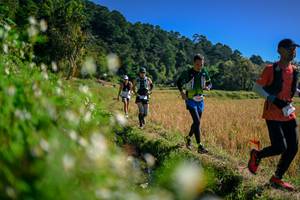 BIB: 
                            <button type="button" onclick="openModal(26576343)" class="btn btn-primary btn-sm float-right btn-popup" data-toggle="modal" data-target=".modal-high-quality">
                        <i class="fas fa-shopping-cart"></i> Add to Cart
                    </button>
                                            <button type="button" onclick="isThisMe(26576343, true)" class="btn btn-success btn-sm float-right btn-popup btn-isme hidden" data-toggle="tooltip" data-placement="bottom" title="นี่คือรูปของคุณใช่ไหม คลิกที่นี่เพื่อเอาเข้าอัลบั้ม">
                        <i class="fas fa-plus"></i> Add to album
                    </button>
                    <button type="button" onclick="isThisMe(26576343, false)" class="btn btn-warning btn-sm float-right btn-popup btn-isnotme hidden">
                        <i class="fas fa-ban"></i> Remove from album
                    </button>