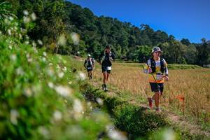 BIB: 
                            <button type="button" onclick="openModal(26582395)" class="btn btn-primary btn-sm float-right btn-popup" data-toggle="modal" data-target=".modal-high-quality">
                        <i class="fas fa-shopping-cart"></i> Add to Cart
                    </button>
                                            <button type="button" onclick="isThisMe(26582395, true)" class="btn btn-success btn-sm float-right btn-popup btn-isme hidden" data-toggle="tooltip" data-placement="bottom" title="นี่คือรูปของคุณใช่ไหม คลิกที่นี่เพื่อเอาเข้าอัลบั้ม">
                        <i class="fas fa-plus"></i> Add to album
                    </button>
                    <button type="button" onclick="isThisMe(26582395, false)" class="btn btn-warning btn-sm float-right btn-popup btn-isnotme hidden">
                        <i class="fas fa-ban"></i> Remove from album
                    </button>