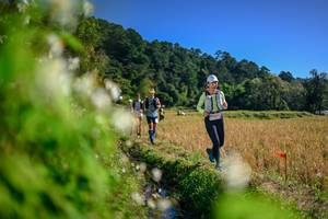 BIB: 
                            <button type="button" onclick="openModal(26574287)" class="btn btn-primary btn-sm float-right btn-popup" data-toggle="modal" data-target=".modal-high-quality">
                        <i class="fas fa-shopping-cart"></i> Add to Cart
                    </button>
                                            <button type="button" onclick="isThisMe(26574287, true)" class="btn btn-success btn-sm float-right btn-popup btn-isme hidden" data-toggle="tooltip" data-placement="bottom" title="นี่คือรูปของคุณใช่ไหม คลิกที่นี่เพื่อเอาเข้าอัลบั้ม">
                        <i class="fas fa-plus"></i> Add to album
                    </button>
                    <button type="button" onclick="isThisMe(26574287, false)" class="btn btn-warning btn-sm float-right btn-popup btn-isnotme hidden">
                        <i class="fas fa-ban"></i> Remove from album
                    </button>