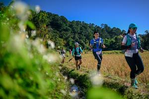 BIB: 
                            <button type="button" onclick="openModal(26574839)" class="btn btn-primary btn-sm float-right btn-popup" data-toggle="modal" data-target=".modal-high-quality">
                        <i class="fas fa-shopping-cart"></i> Add to Cart
                    </button>
                                            <button type="button" onclick="isThisMe(26574839, true)" class="btn btn-success btn-sm float-right btn-popup btn-isme hidden" data-toggle="tooltip" data-placement="bottom" title="นี่คือรูปของคุณใช่ไหม คลิกที่นี่เพื่อเอาเข้าอัลบั้ม">
                        <i class="fas fa-plus"></i> Add to album
                    </button>
                    <button type="button" onclick="isThisMe(26574839, false)" class="btn btn-warning btn-sm float-right btn-popup btn-isnotme hidden">
                        <i class="fas fa-ban"></i> Remove from album
                    </button>