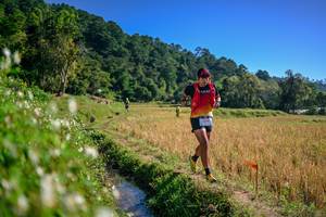 BIB: 
                            <button type="button" onclick="openModal(26576414)" class="btn btn-primary btn-sm float-right btn-popup" data-toggle="modal" data-target=".modal-high-quality">
                        <i class="fas fa-shopping-cart"></i> Add to Cart
                    </button>
                                            <button type="button" onclick="isThisMe(26576414, true)" class="btn btn-success btn-sm float-right btn-popup btn-isme hidden" data-toggle="tooltip" data-placement="bottom" title="นี่คือรูปของคุณใช่ไหม คลิกที่นี่เพื่อเอาเข้าอัลบั้ม">
                        <i class="fas fa-plus"></i> Add to album
                    </button>
                    <button type="button" onclick="isThisMe(26576414, false)" class="btn btn-warning btn-sm float-right btn-popup btn-isnotme hidden">
                        <i class="fas fa-ban"></i> Remove from album
                    </button>