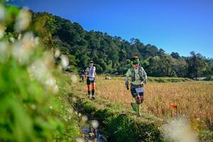 BIB: 
                            <button type="button" onclick="openModal(26571955)" class="btn btn-primary btn-sm float-right btn-popup" data-toggle="modal" data-target=".modal-high-quality">
                        <i class="fas fa-shopping-cart"></i> Add to Cart
                    </button>
                                            <button type="button" onclick="isThisMe(26571955, true)" class="btn btn-success btn-sm float-right btn-popup btn-isme hidden" data-toggle="tooltip" data-placement="bottom" title="นี่คือรูปของคุณใช่ไหม คลิกที่นี่เพื่อเอาเข้าอัลบั้ม">
                        <i class="fas fa-plus"></i> Add to album
                    </button>
                    <button type="button" onclick="isThisMe(26571955, false)" class="btn btn-warning btn-sm float-right btn-popup btn-isnotme hidden">
                        <i class="fas fa-ban"></i> Remove from album
                    </button>